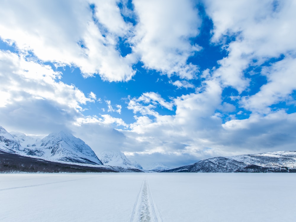 a snow covered field with tracks in the snow