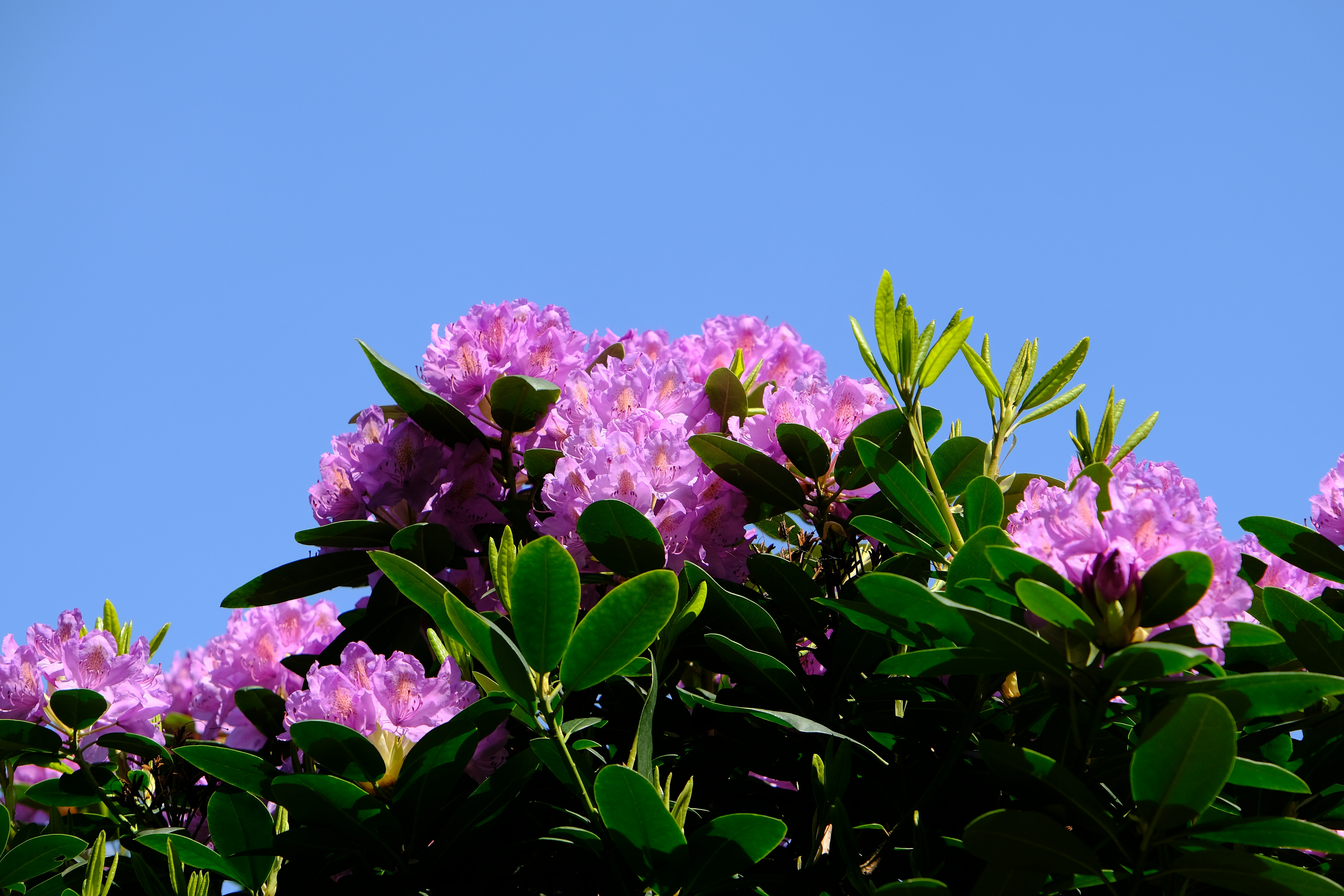 Photo by from0tohero