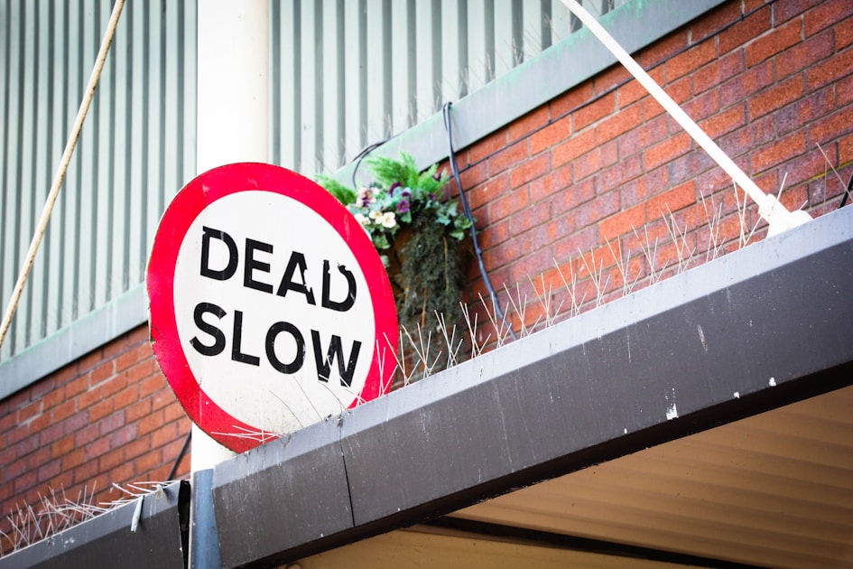 SAVE Plan Dead 2026: 7 Million Borrowers Have Until July 1 to Pick a New Repayment Plan