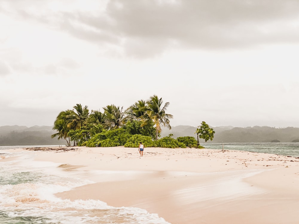 people walking on beach during daytime