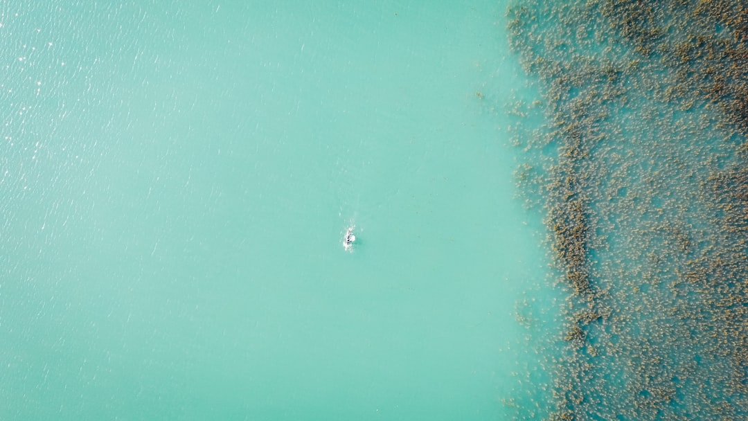 aerial view of boat on sea during daytime