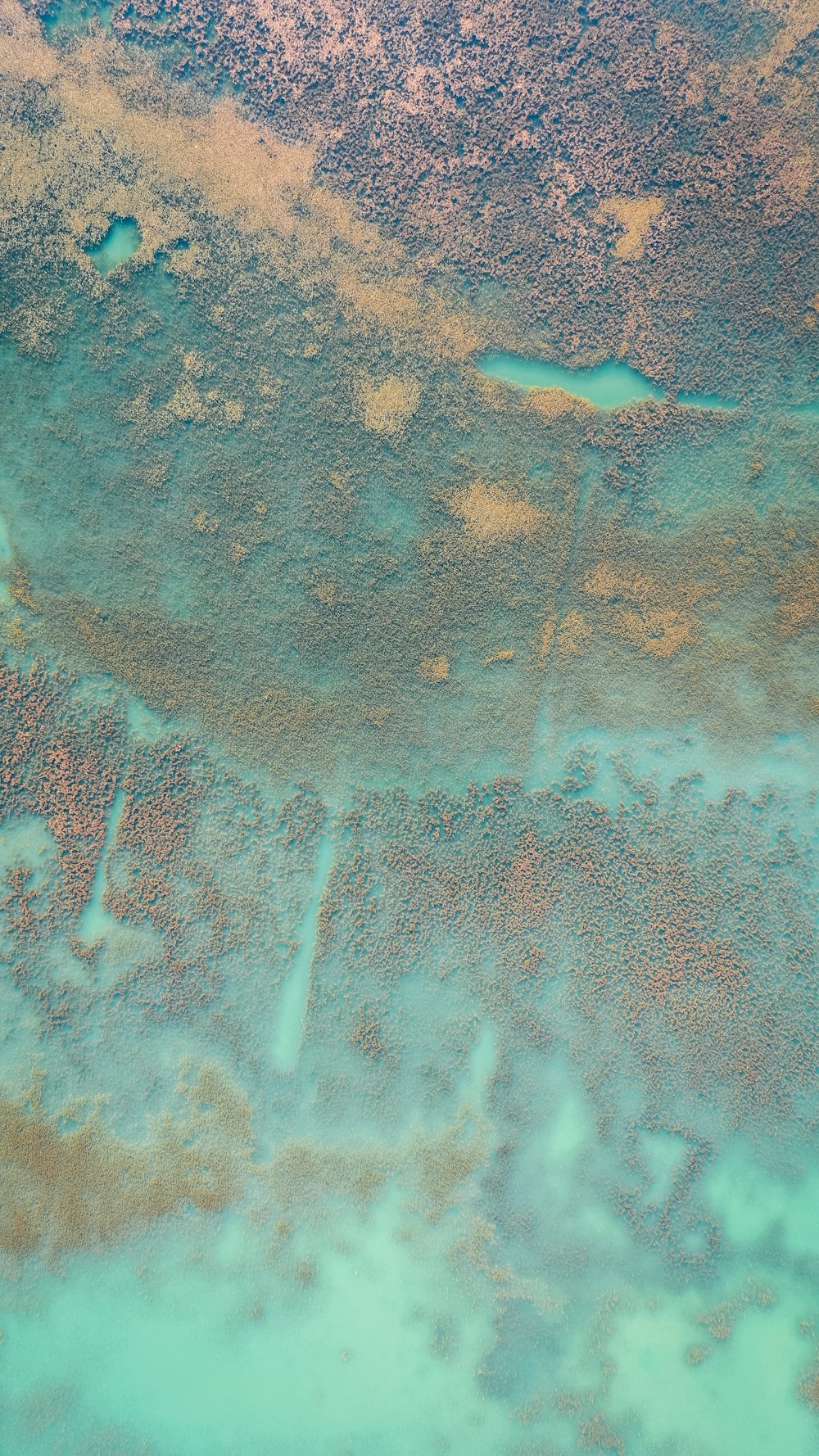 aerial view of body of water