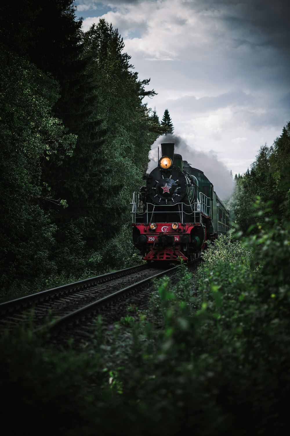 roter und schwarzer Zug tagsüber auf Bahngleisen umgeben von grünen Bäumen