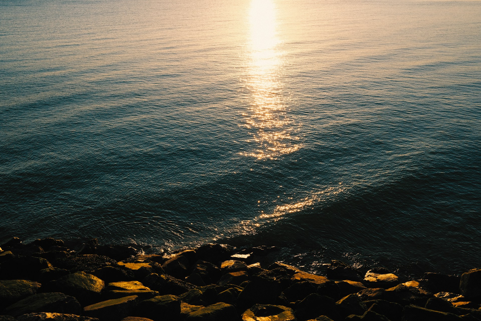 brown rocks near body of water during daytime