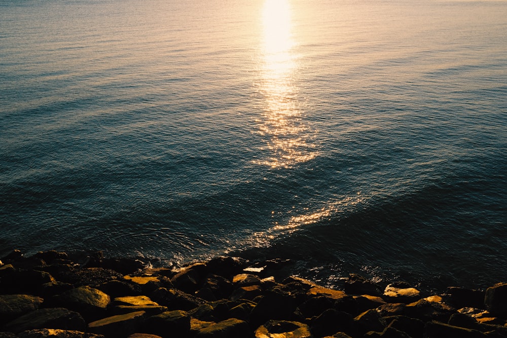 brown rocks near body of water during daytime