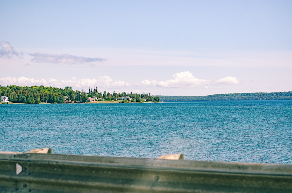 green trees near body of water during daytime