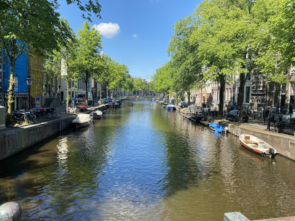 boats on river between green trees during daytime