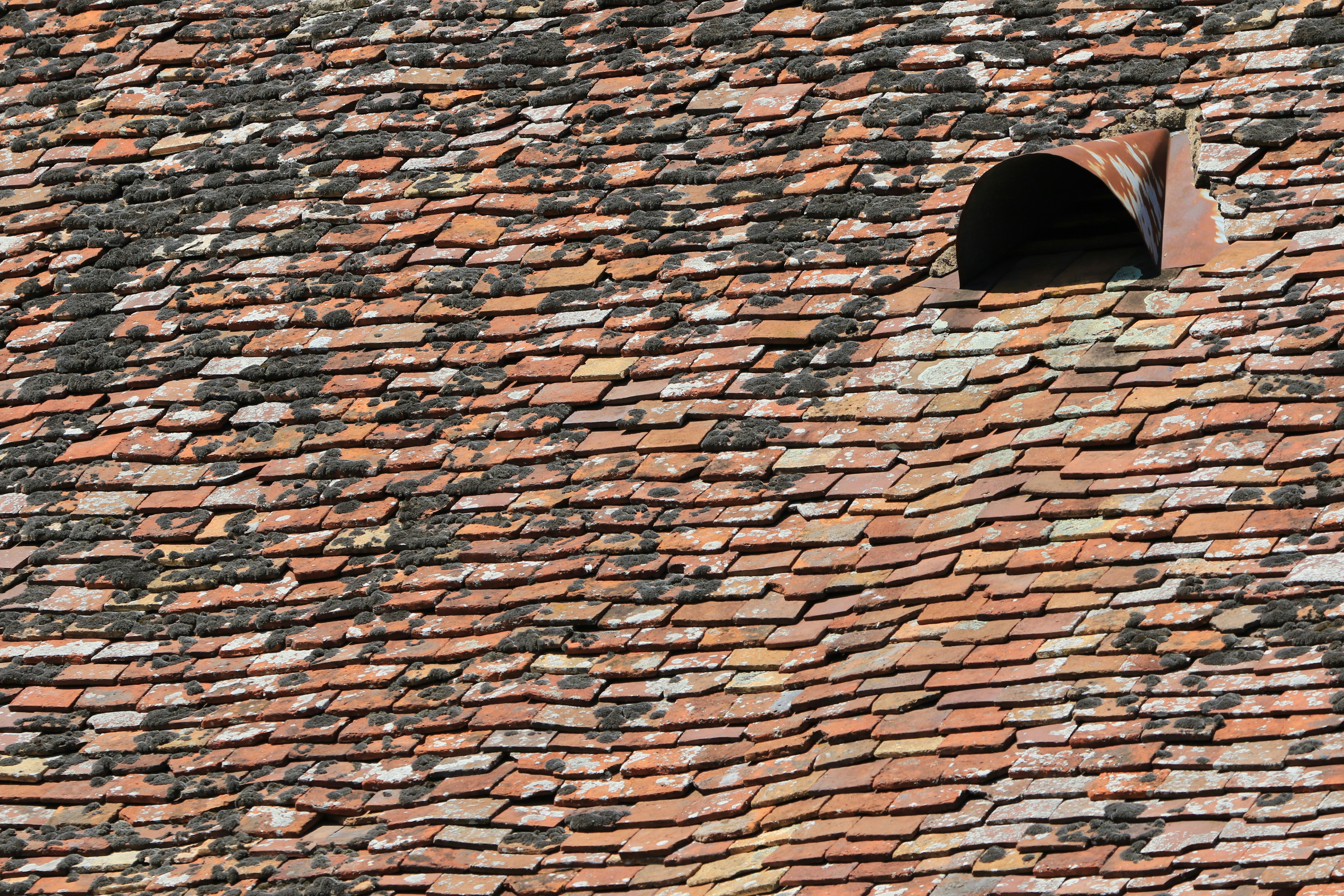 brown brick wall during daytime