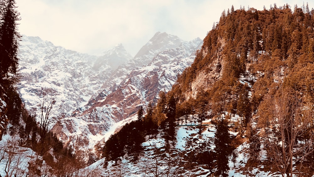 snow covered mountain during daytime