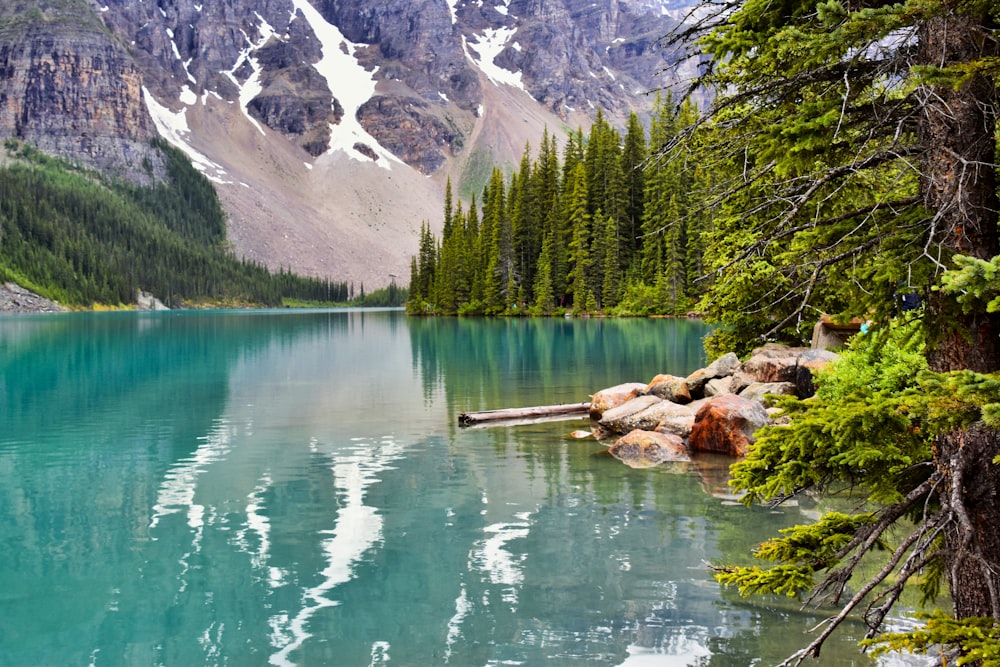낮에는 푸른 나무와 하얀 눈 덮인 산으로 둘러싸인 녹색 호수
