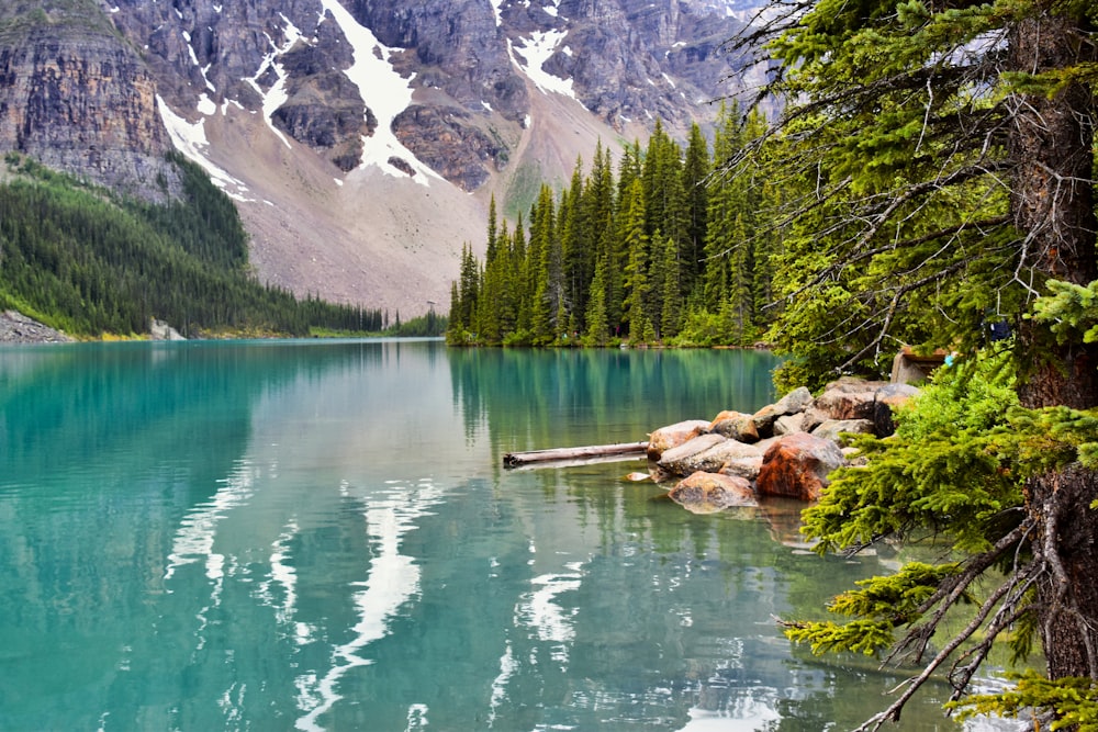 green lake surrounded by green trees and white snow covered mountain during daytime