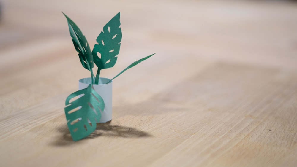 green plant in white ceramic pot