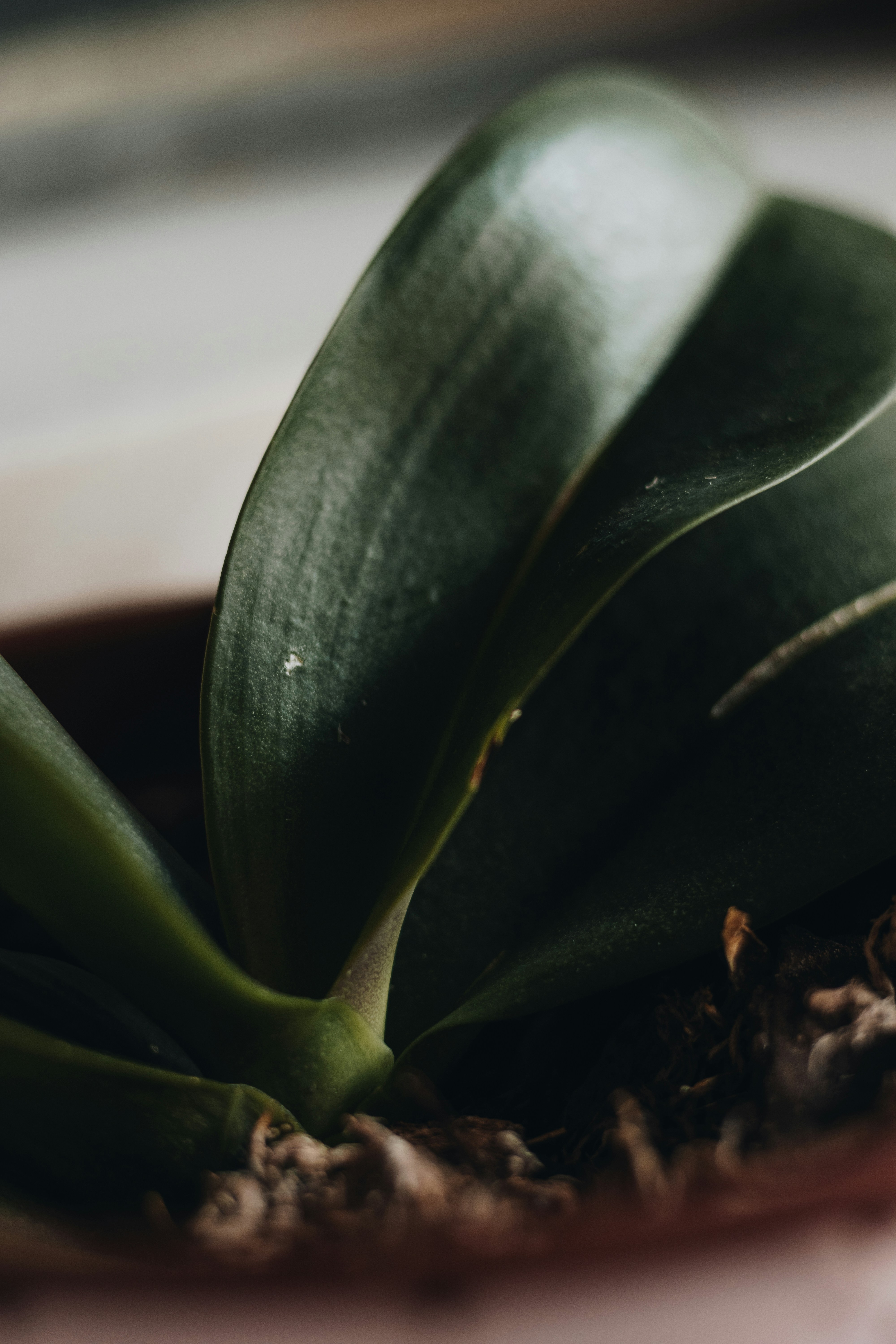 Photo by joaoattitude1