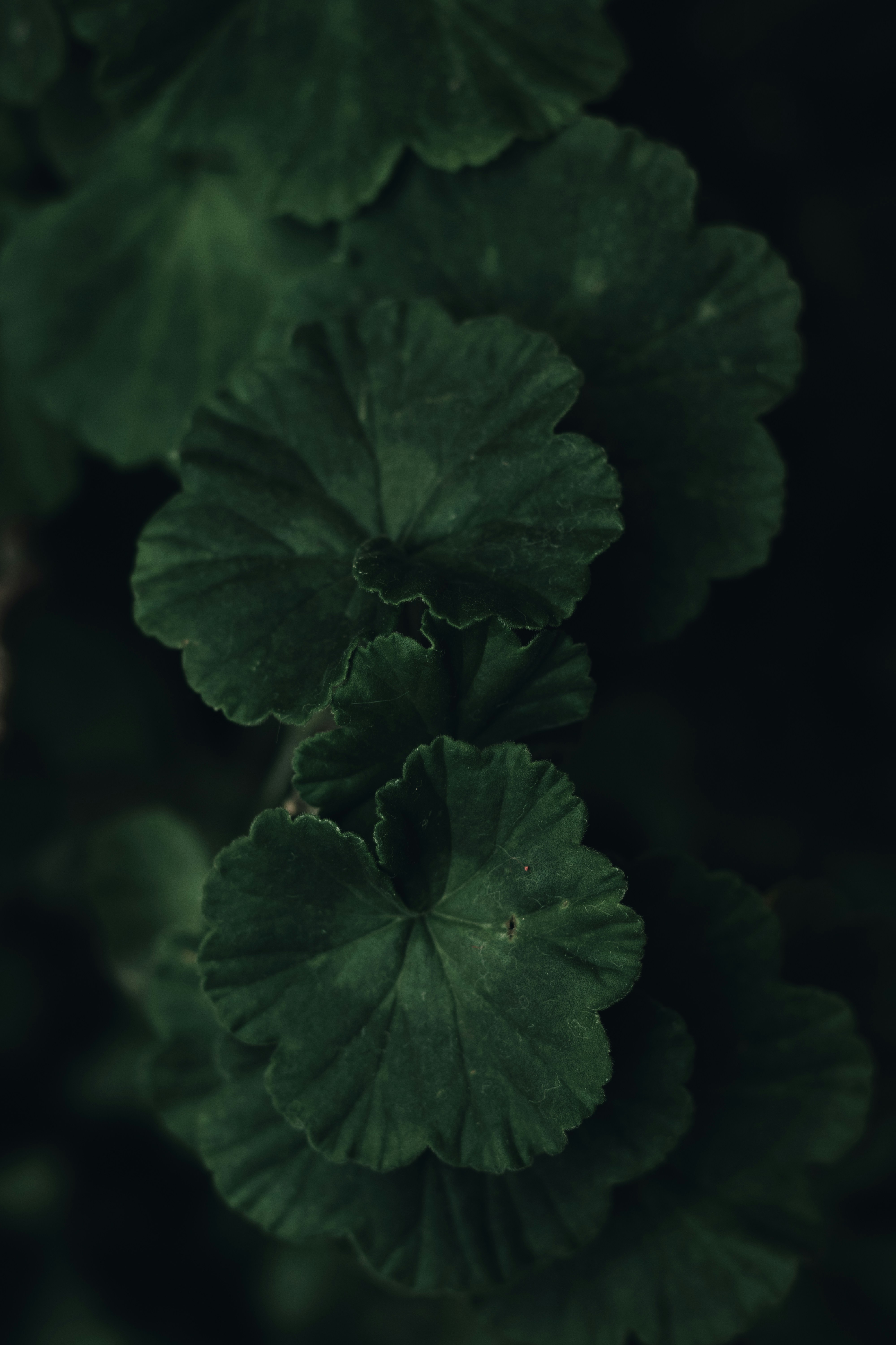 Photo by joaoattitude1