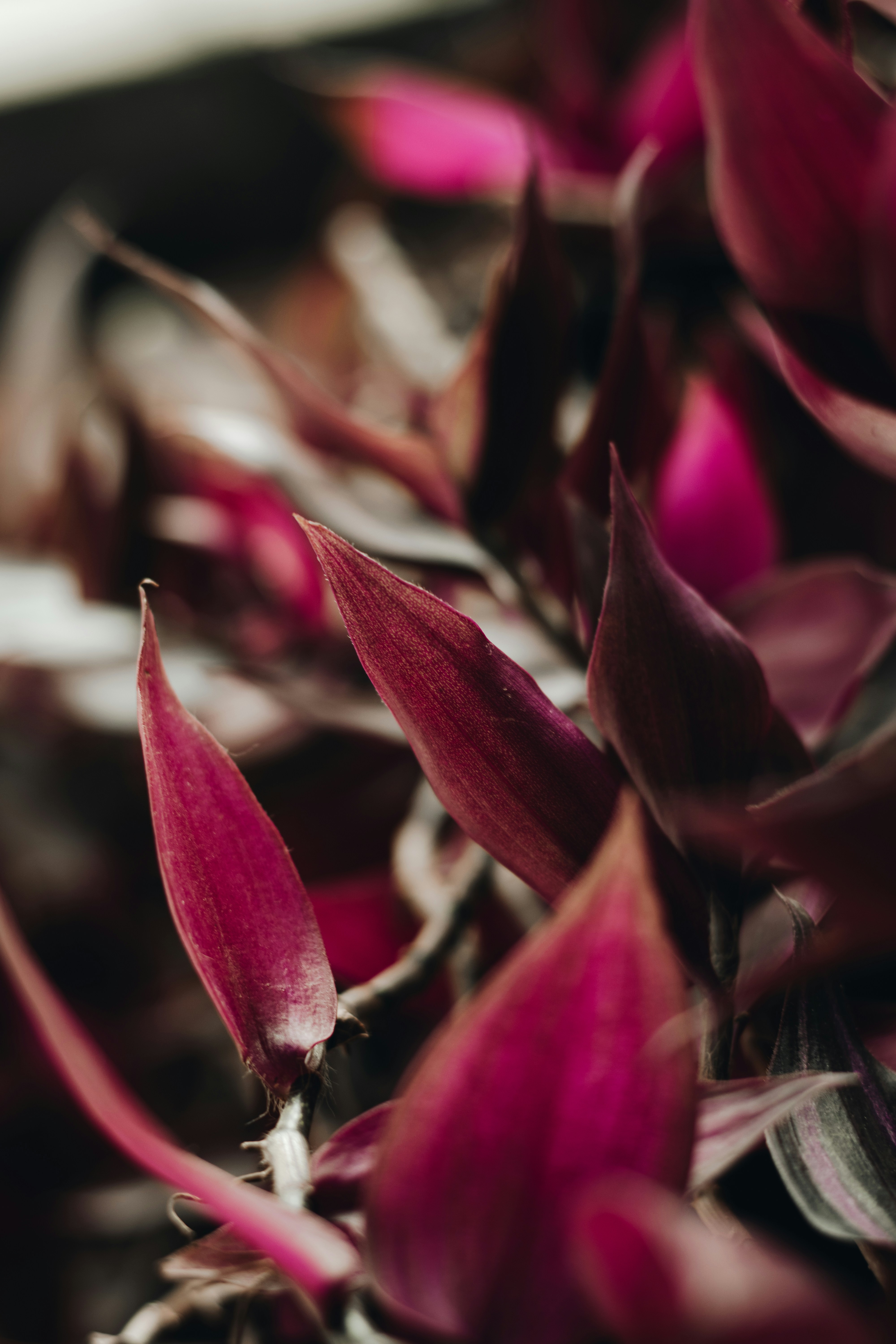 Photo by joaoattitude1