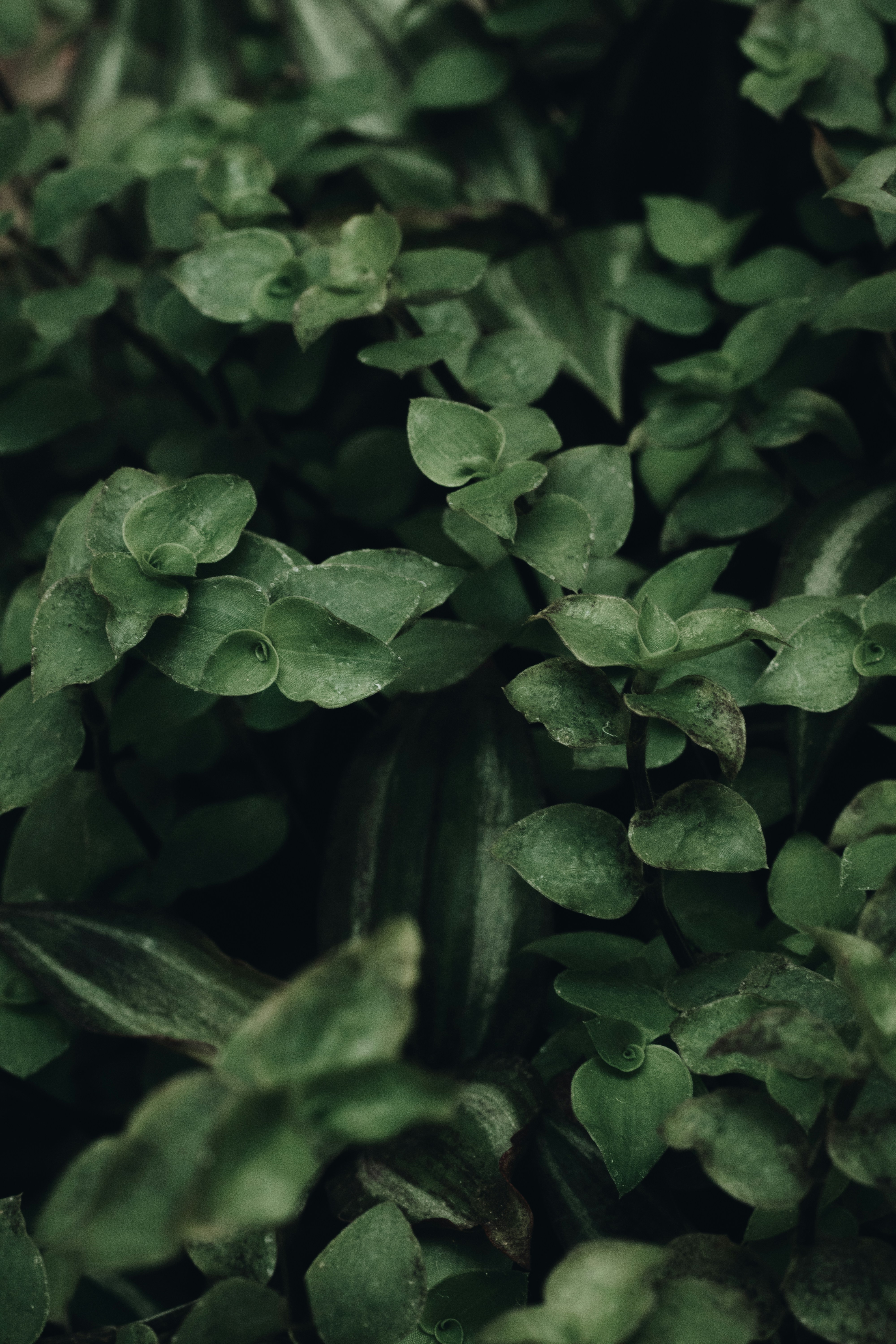 Photo by joaoattitude1