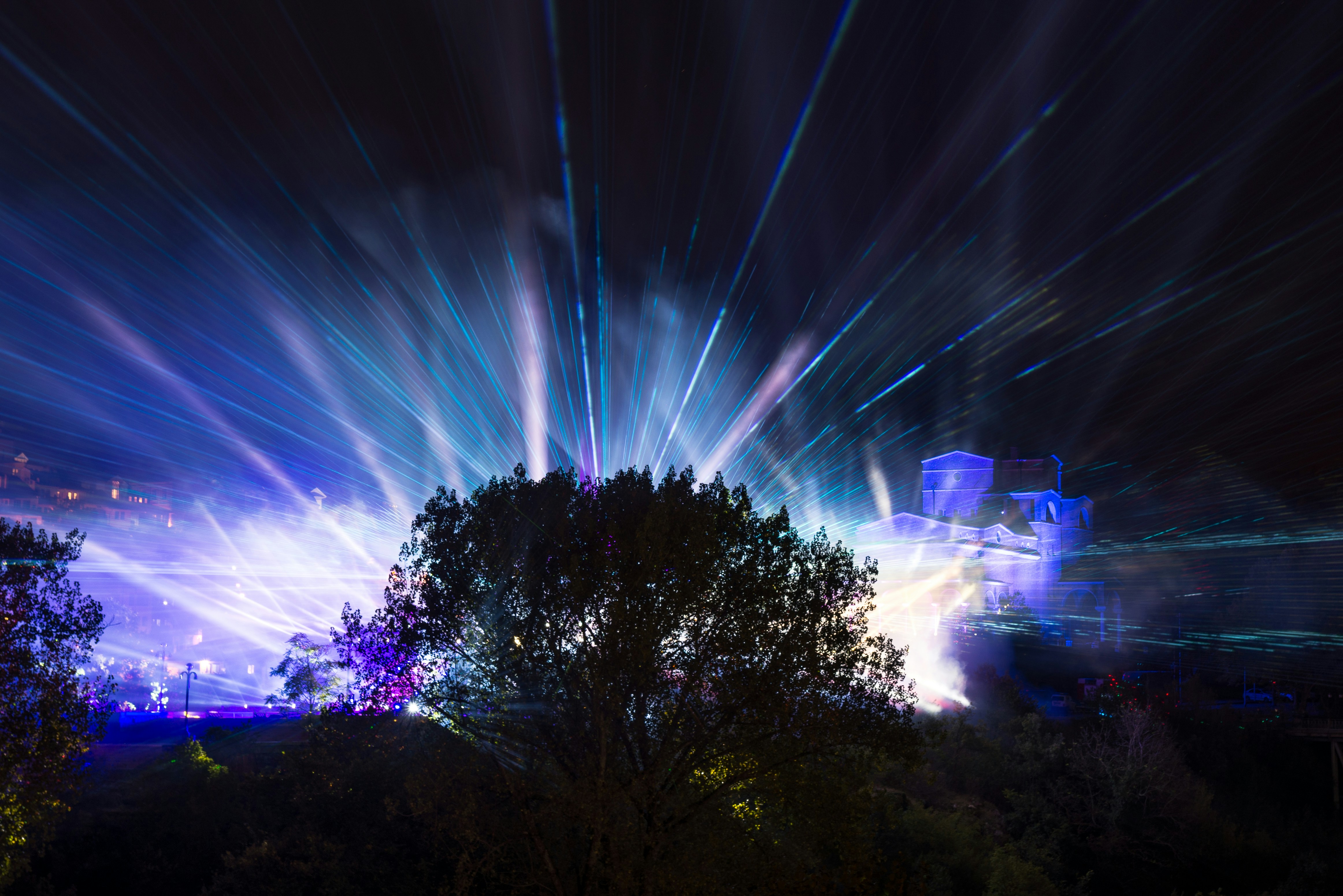 Grüne Bäume unter blauem Himmel tagsüber