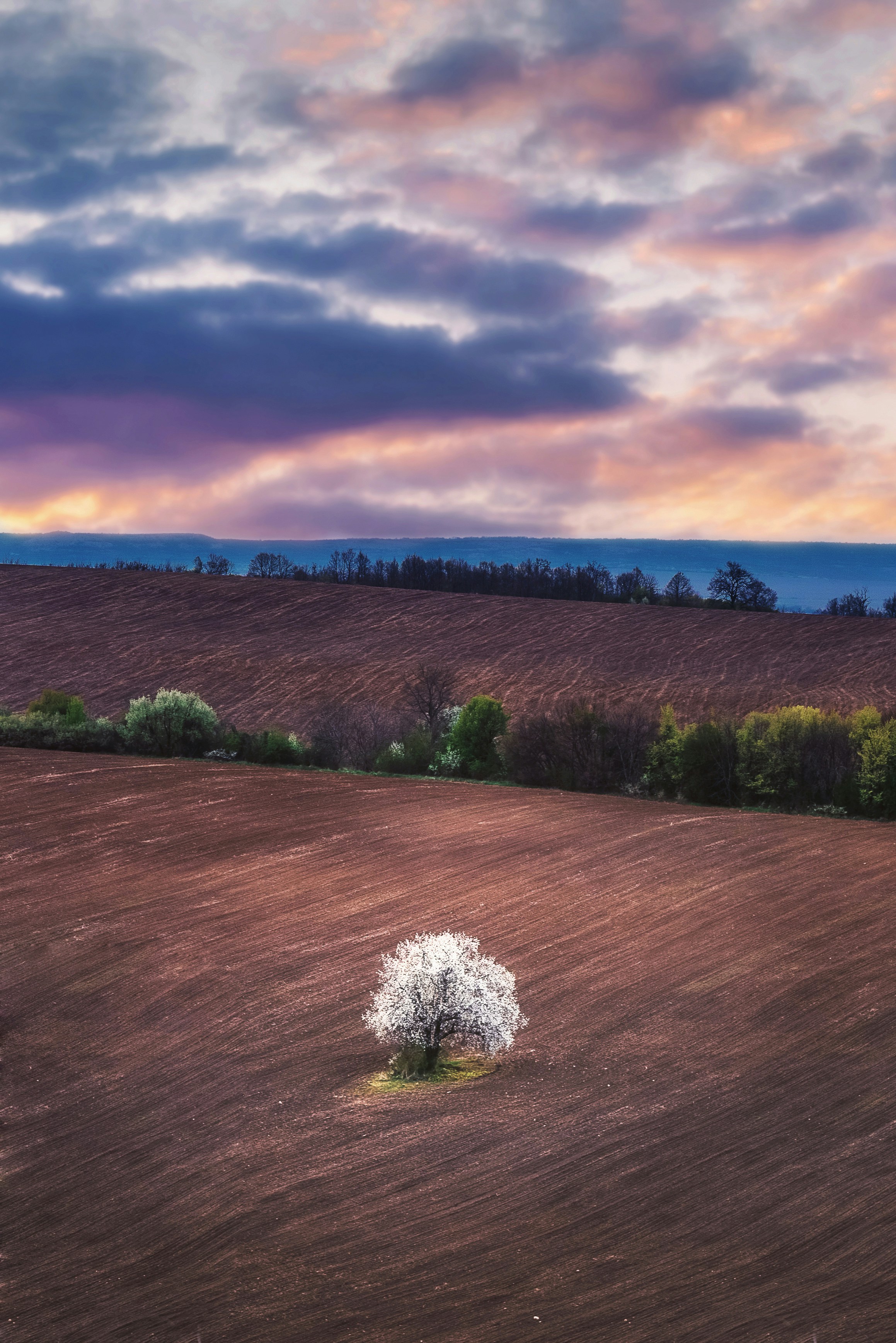 Grüne Rasenwiese unter bewölktem Himmel tagsüber