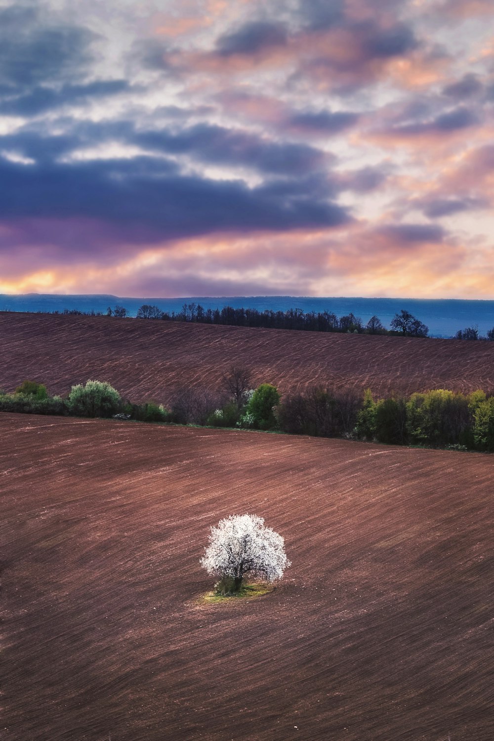 green grass field under cloudy sky during daytime