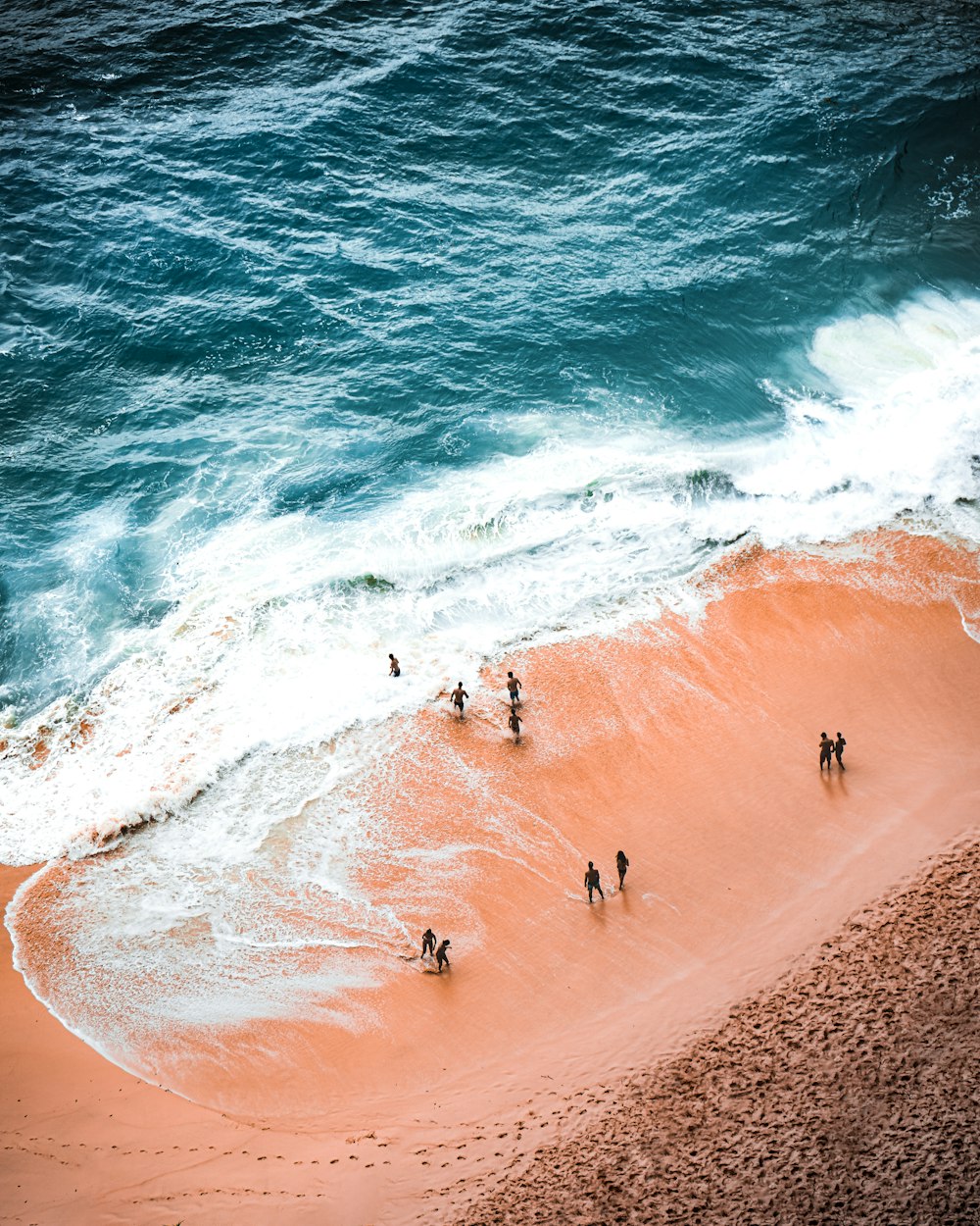 people on beach during daytime