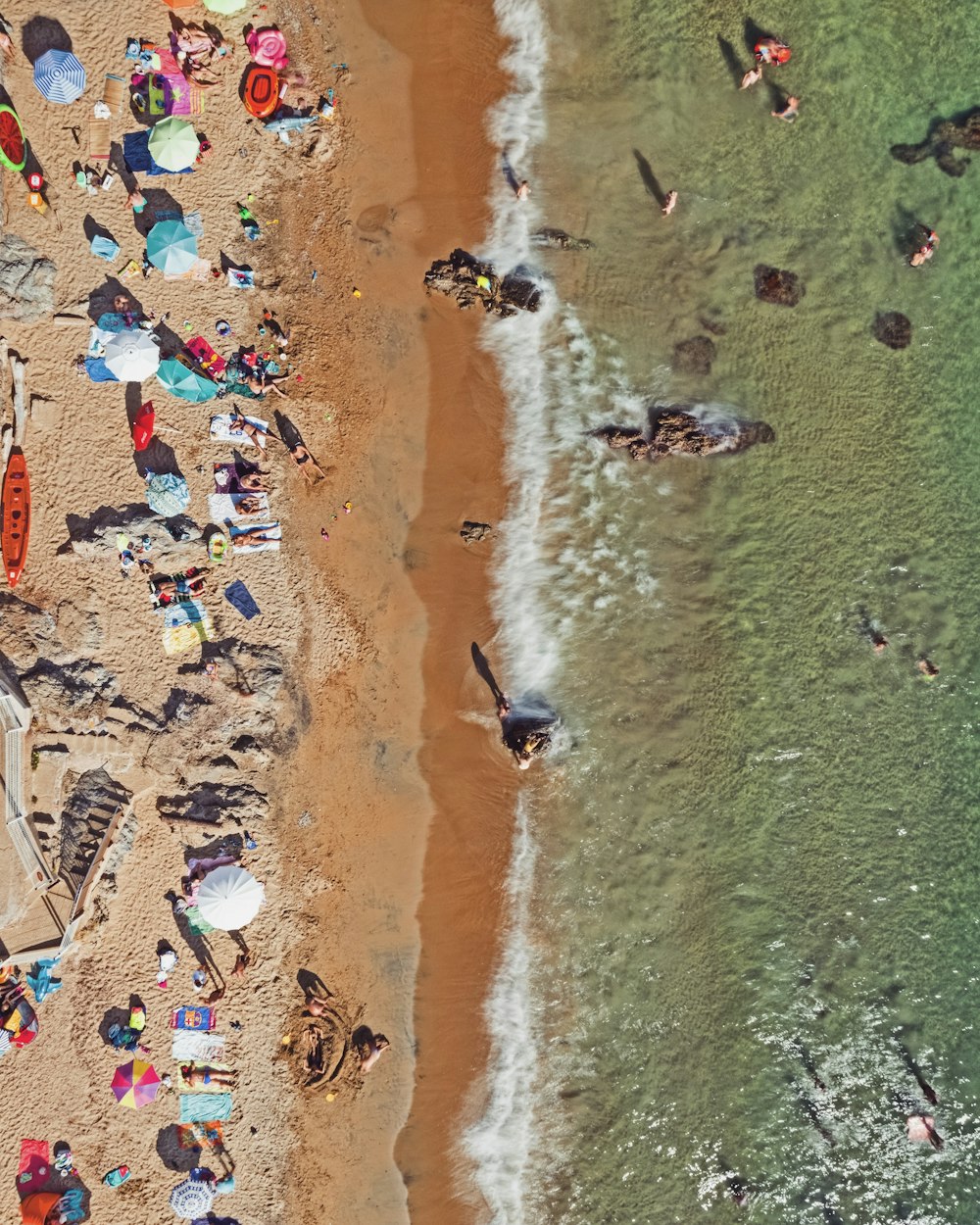 people on beach during daytime