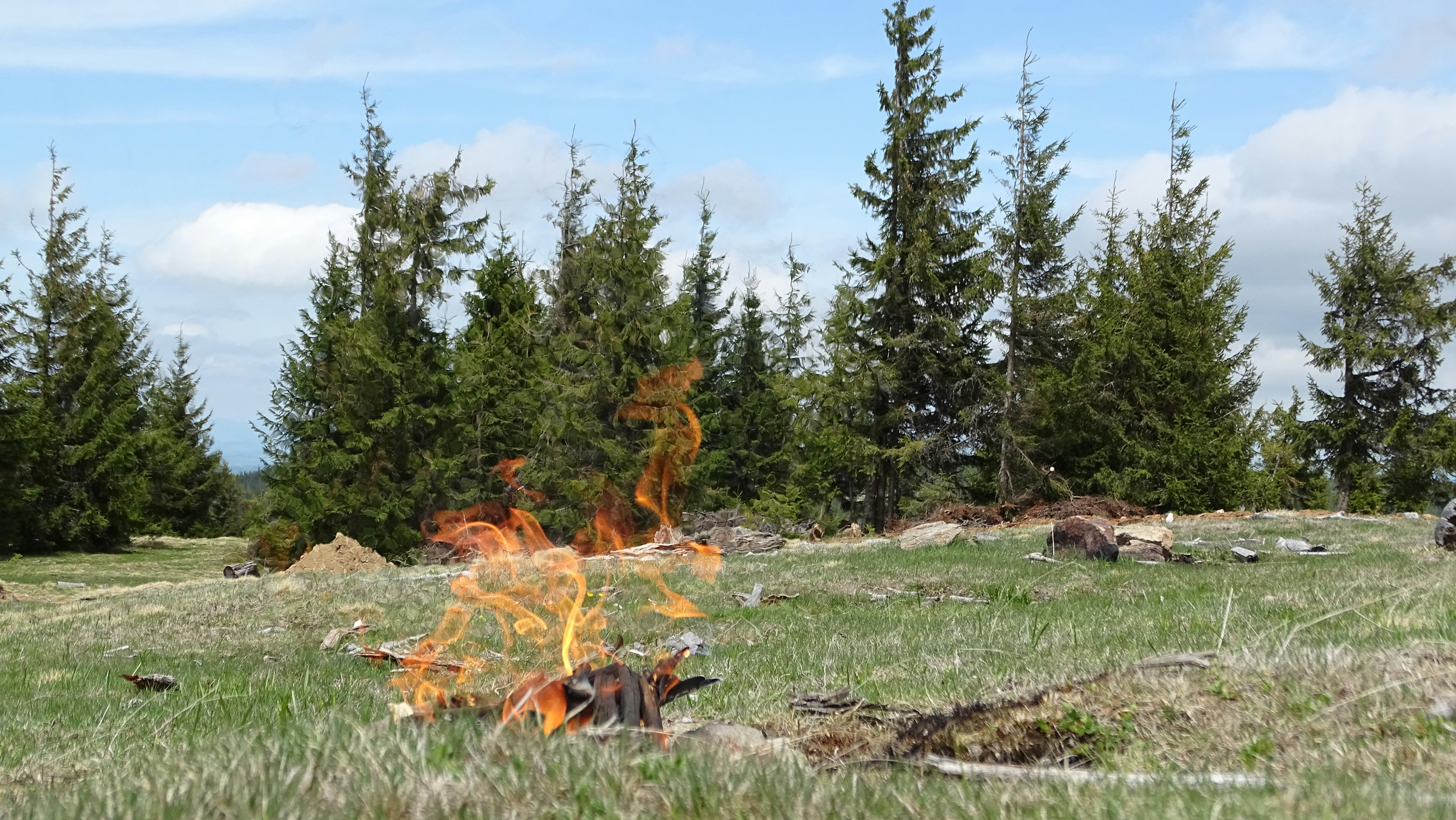 Débroussaillement Légal (OLD)