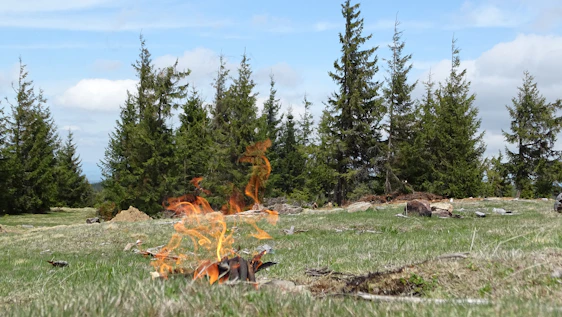 A rugged outdoor scene with a small campfire glowing under a starry night sky, symbolizing survival and growth.