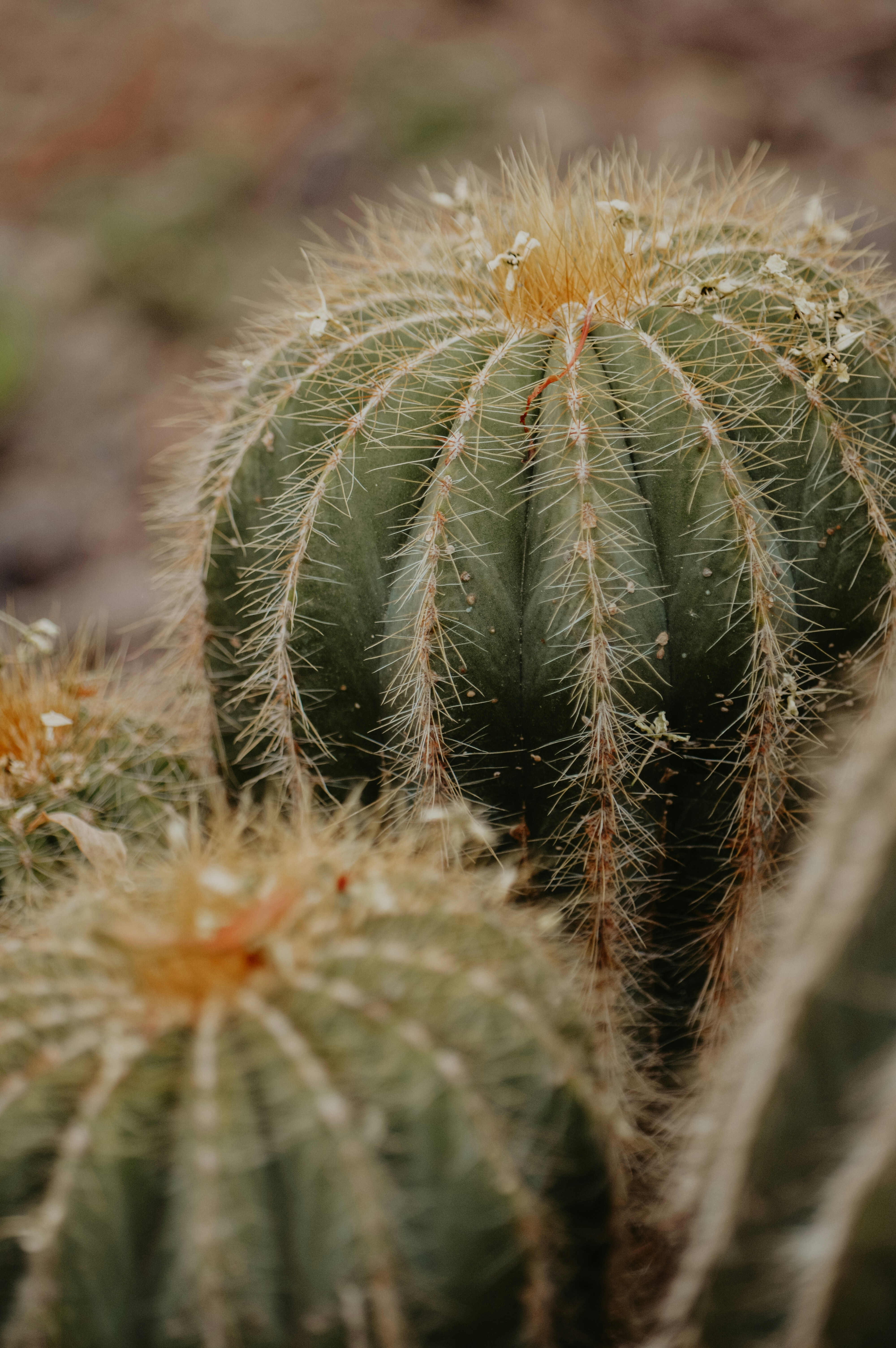 Photo by renatadrodrigues