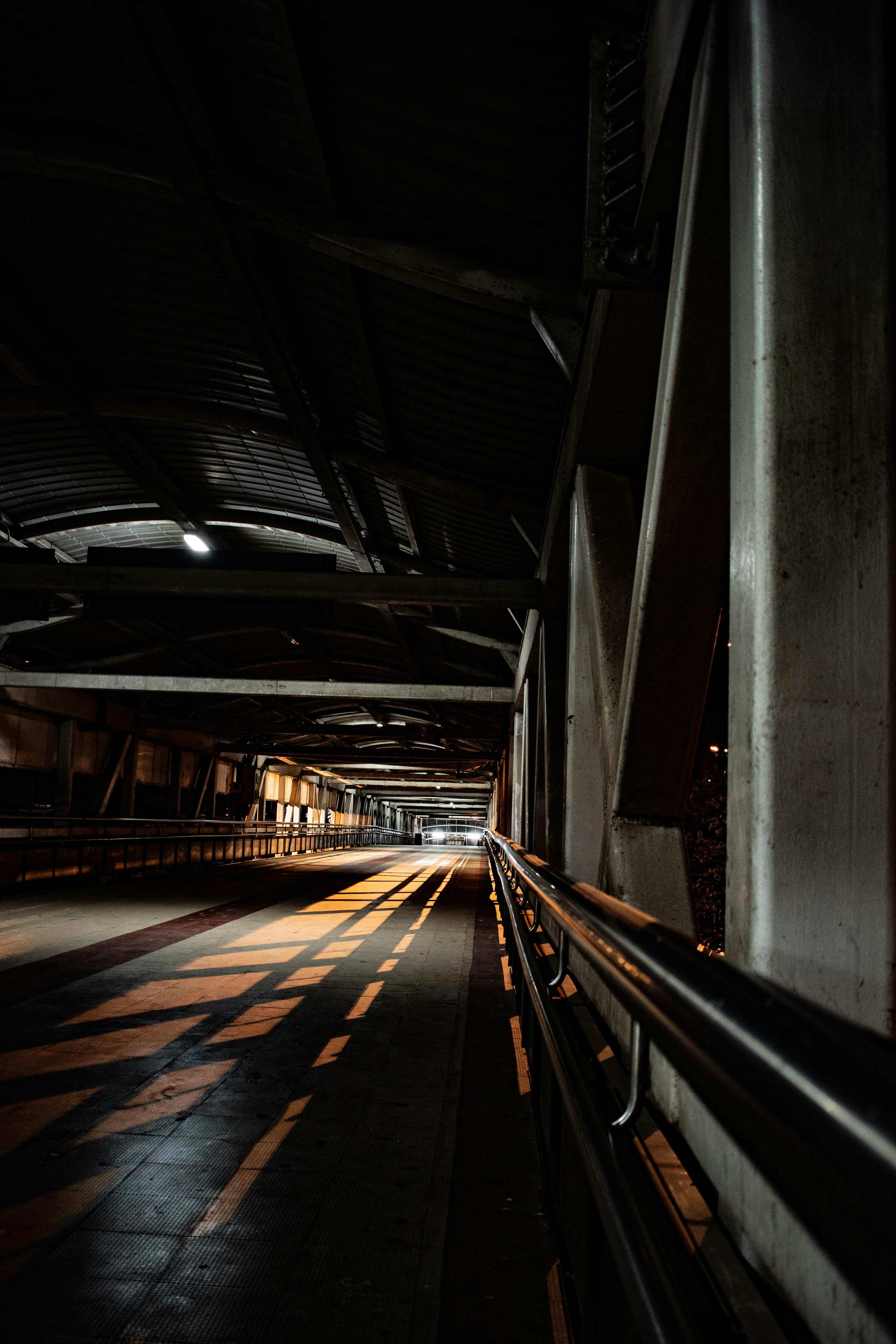 Photo by pranjallk1995