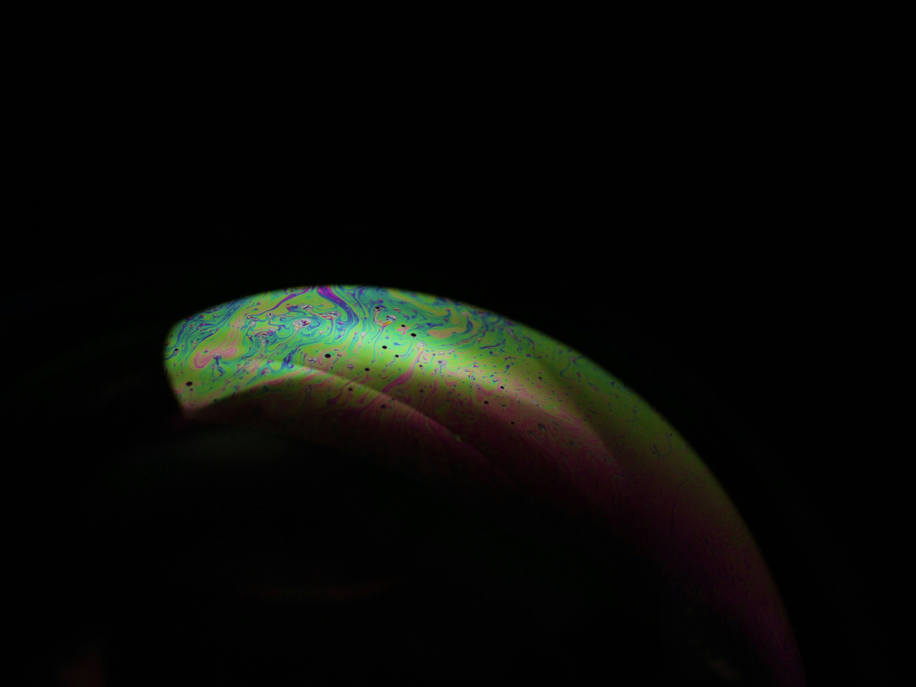 Photo by rahul_pabolu