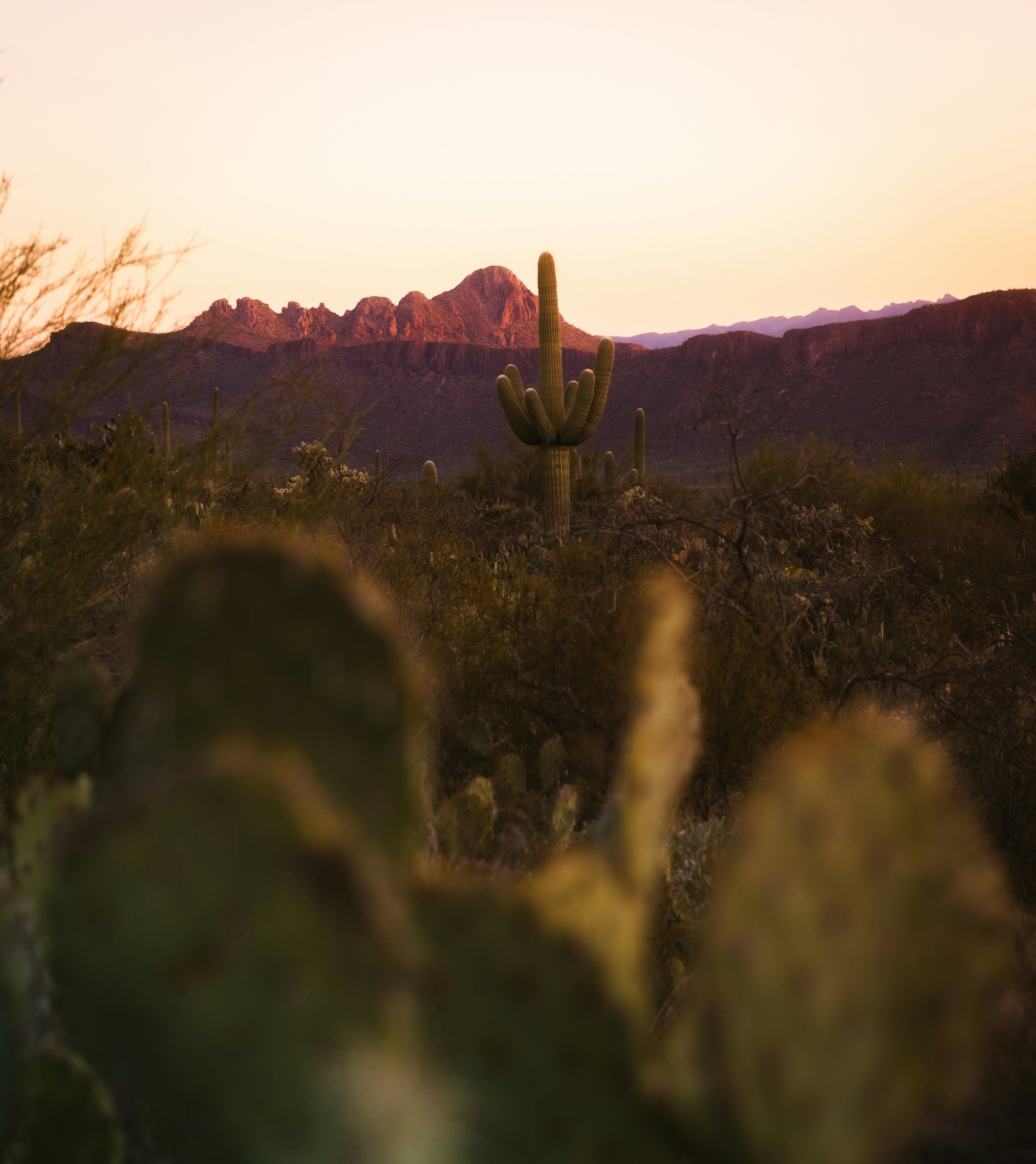 The Radical Democracy of Barn Raisings