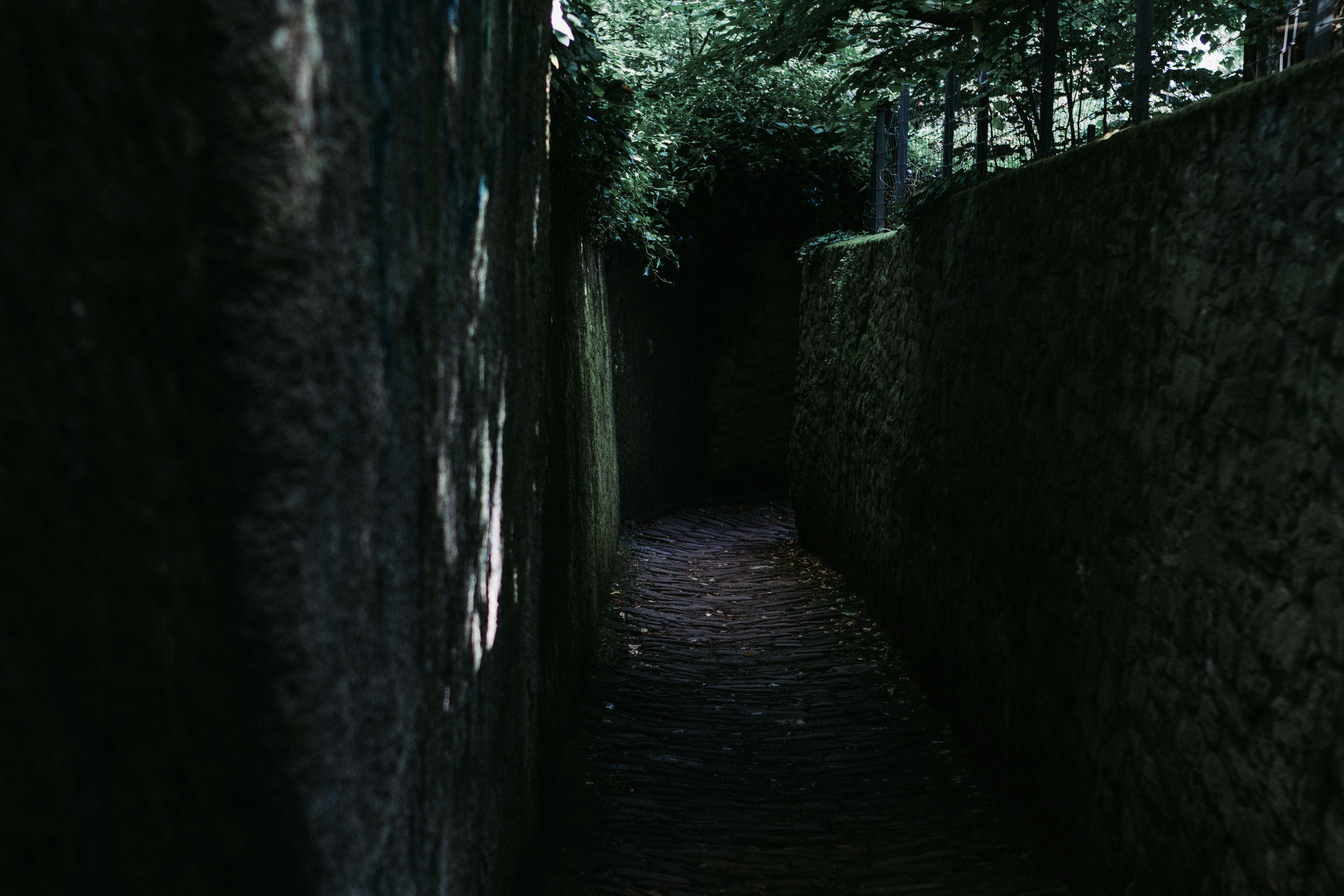 जर्मनीतले लॉकडाऊनचे अनुभव - अनघा दातार (मराठी कट्टा ब्लॉग स्पर्धा २०२०)