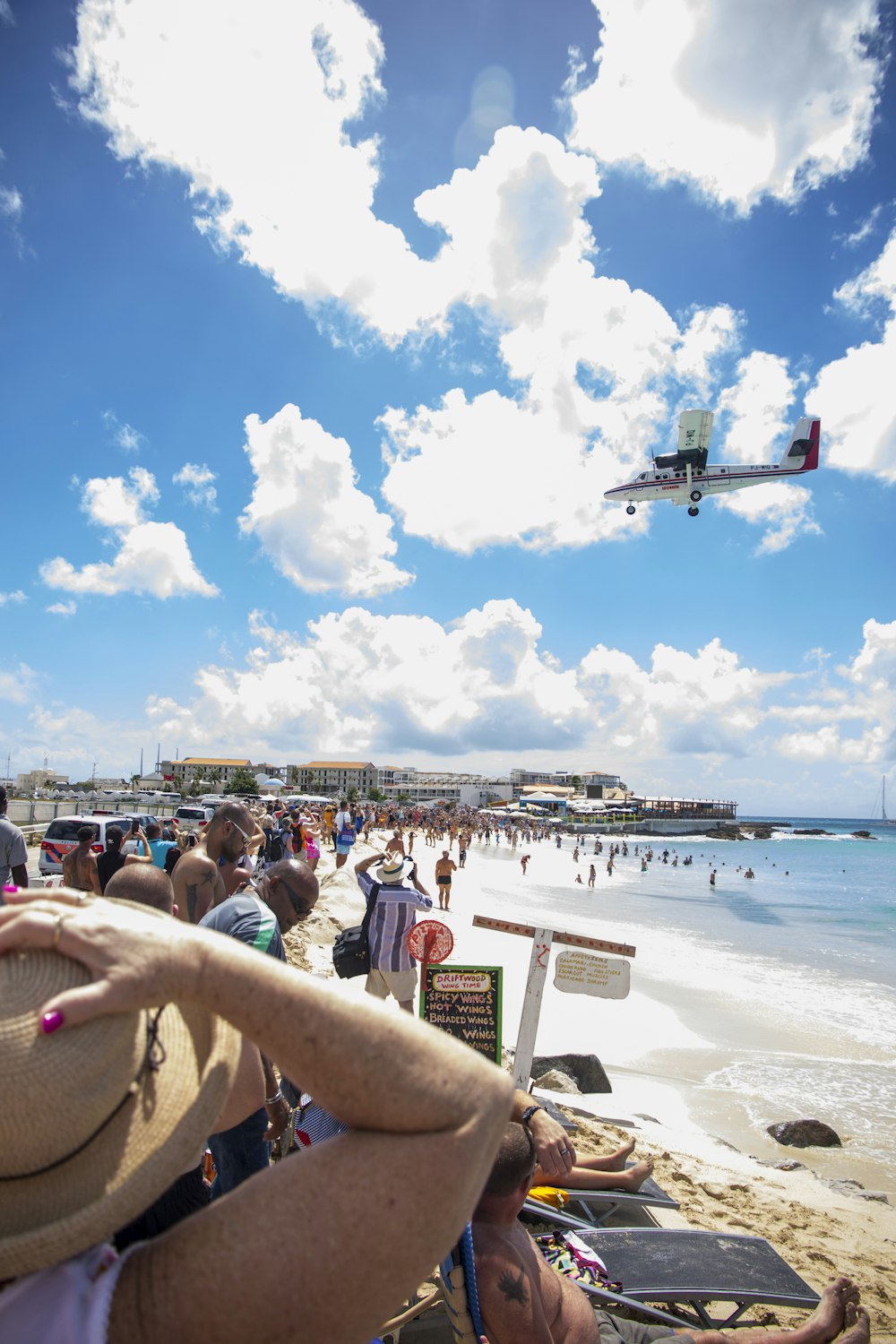 people on beach during daytime