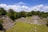 Ancient stone pyramids and structures are surrounded by lush green forest under a bright blue sky with scattered clouds. Stone steps lead up to the main pyramidal structures, set amid a cleared grassy area.