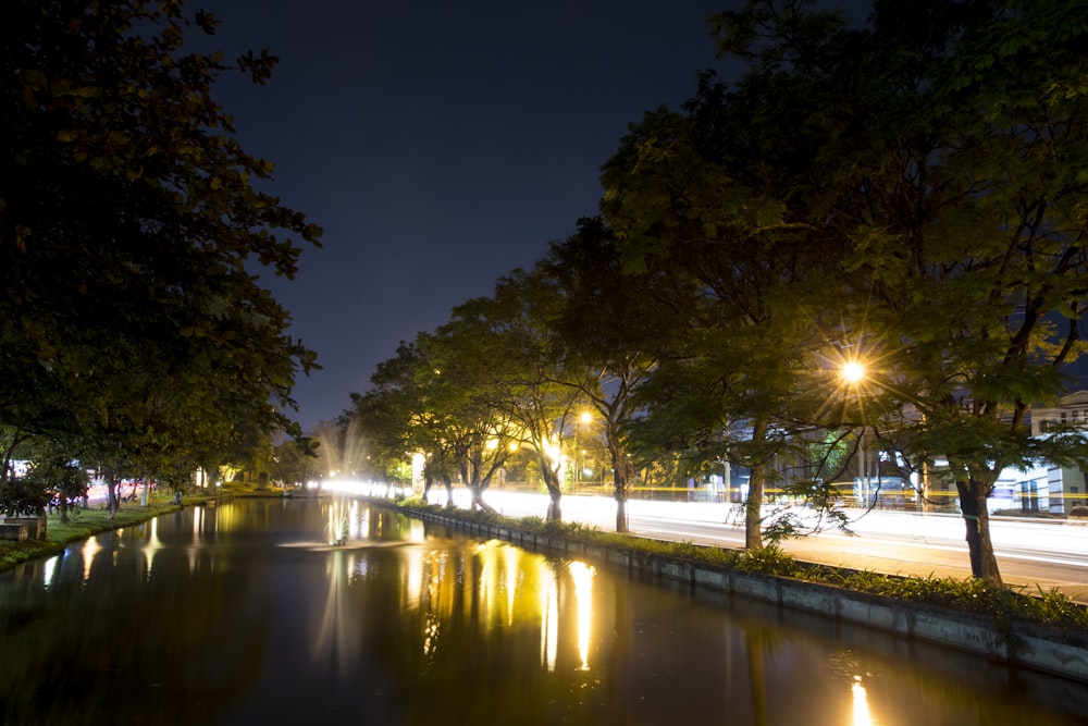 trees near body of water during night time