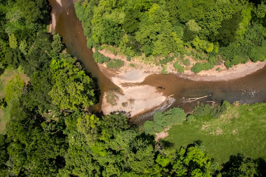 green trees on brown sand during daytime in Guanacaste Province Costa Rica