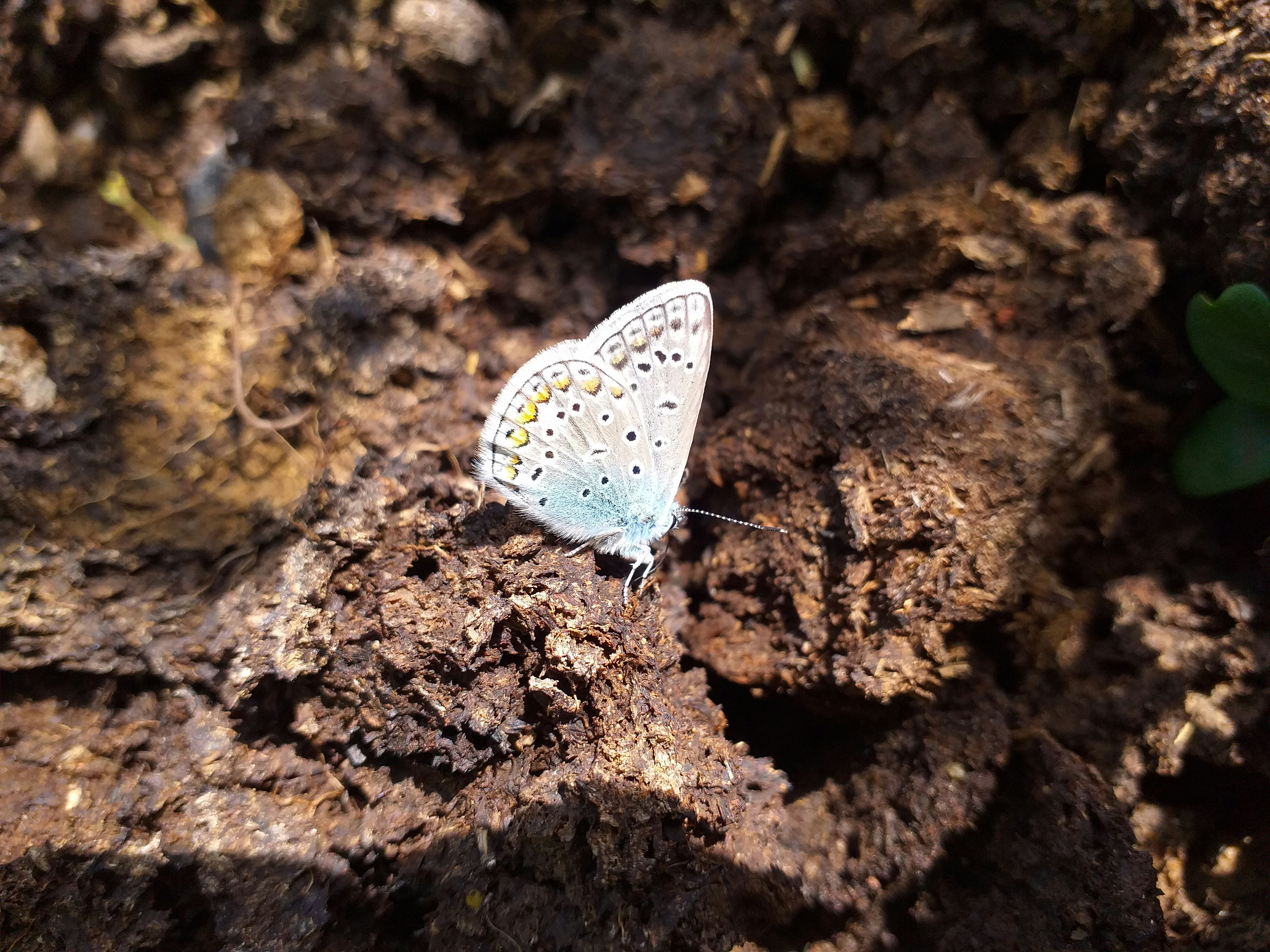 Photo by mohammadbeykzadeh