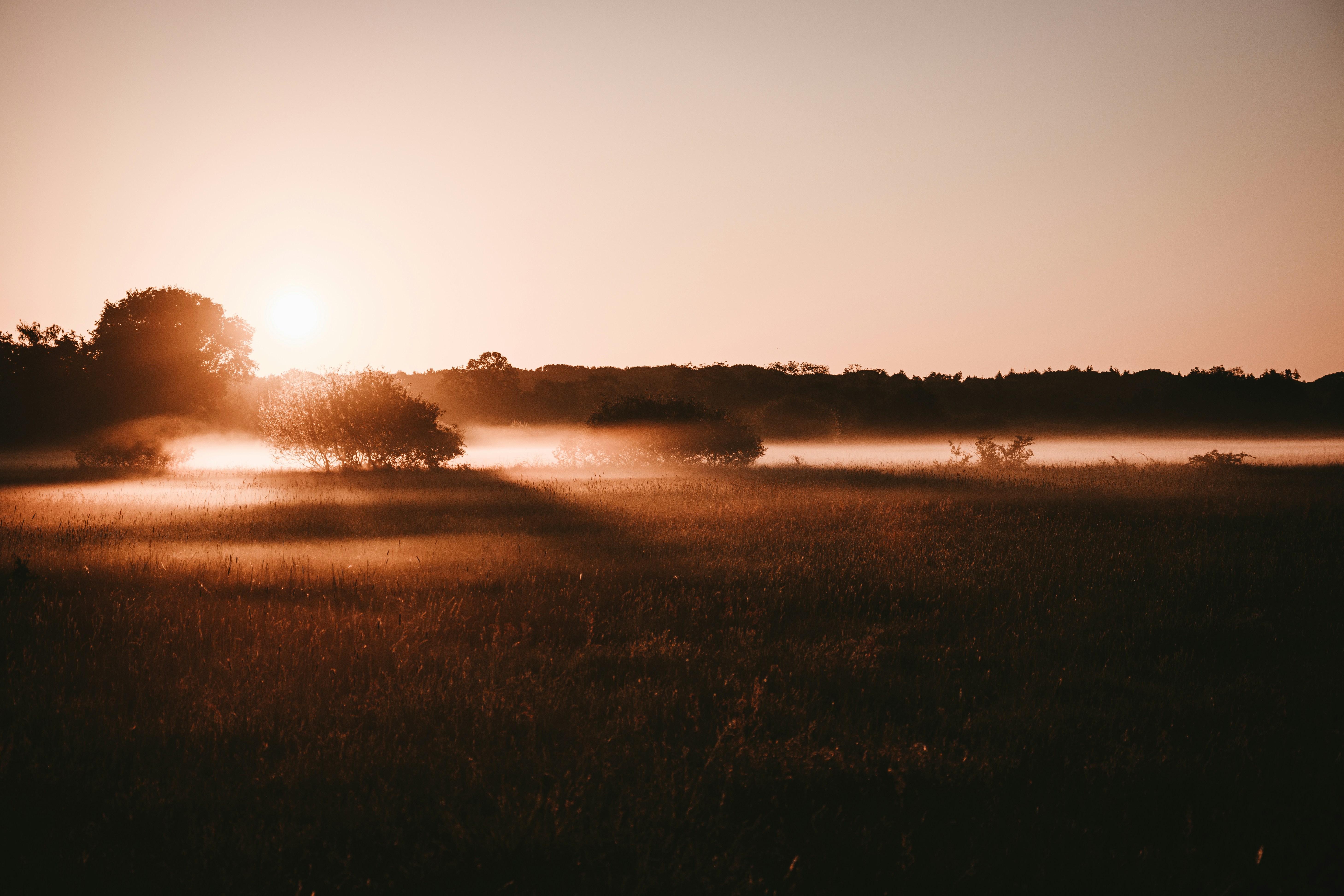 green grass field during sunset