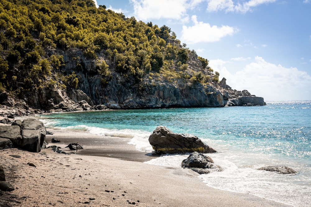 people on beach during daytime