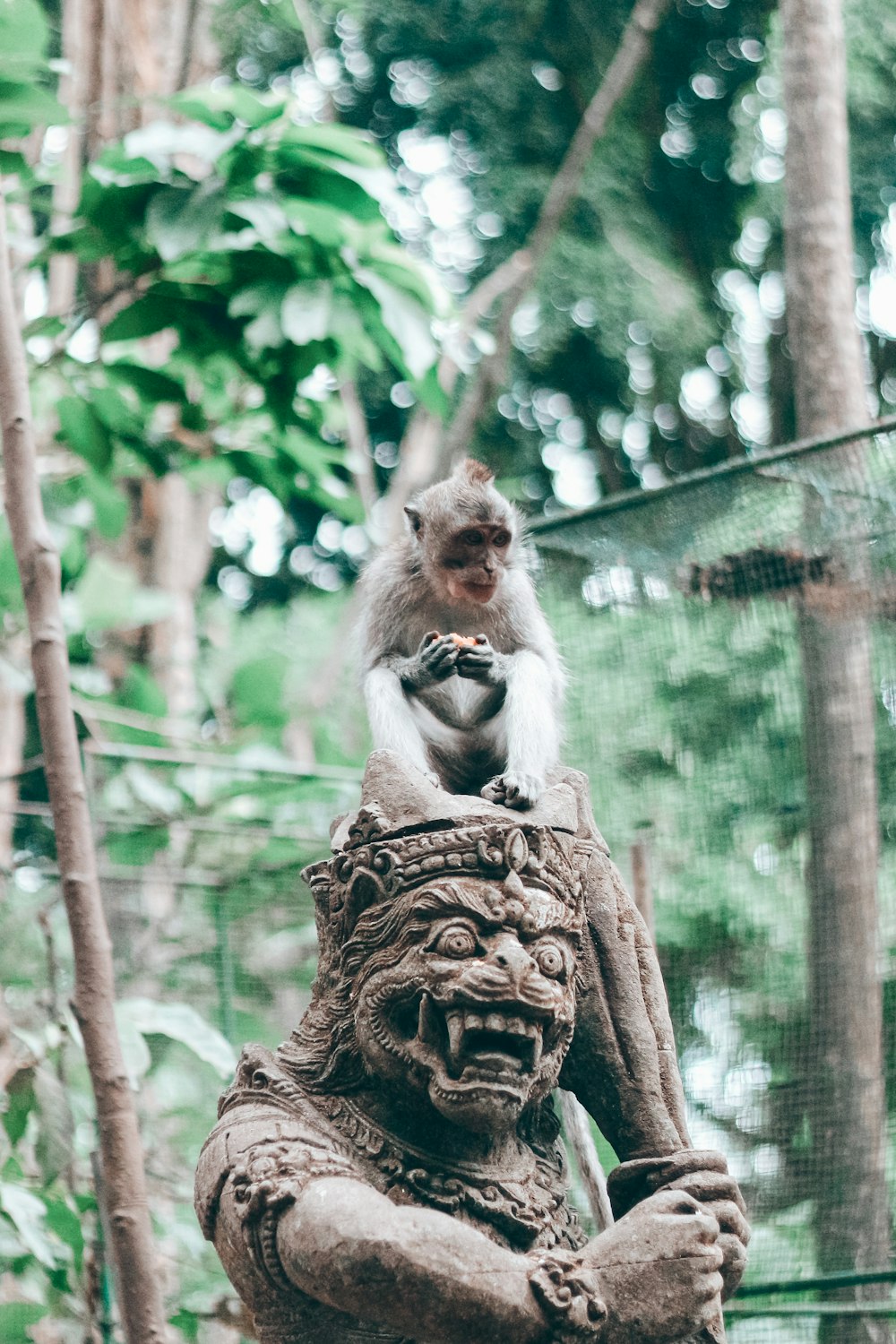 Mono marrón en el tronco de un árbol marrón durante el día