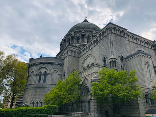 Cathedral Basilica of Saint Louis things to do in St. Louis