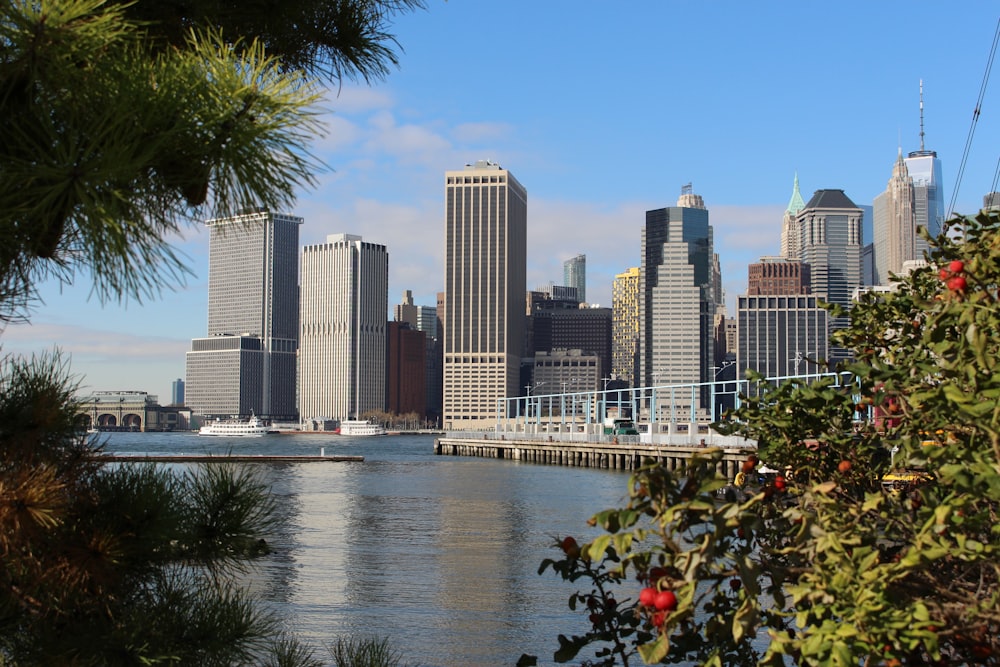 city skyline across body of water during daytime