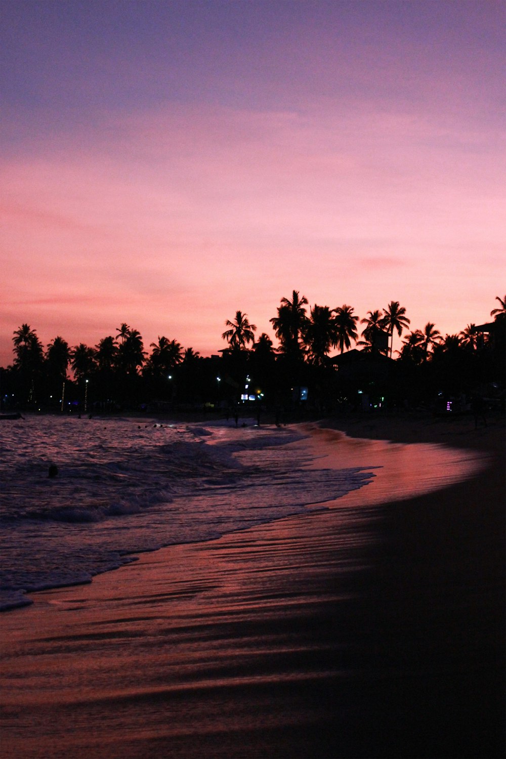 silhouette of trees during sunset