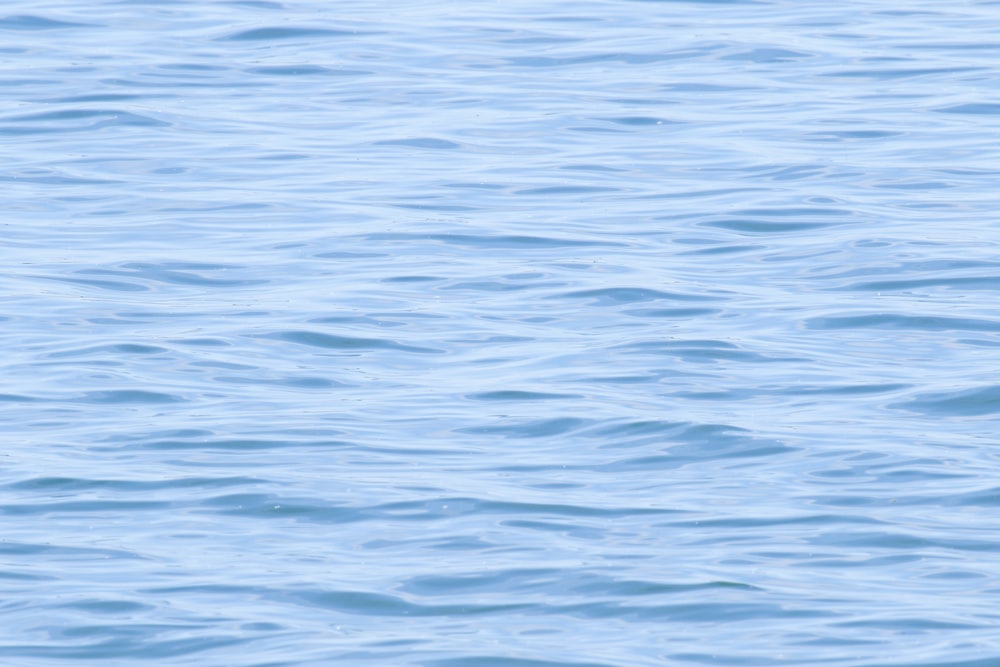 blue body of water during daytime