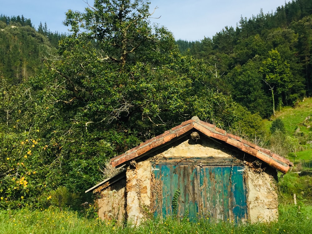 Maison en bois bleu au milieu de la forêt