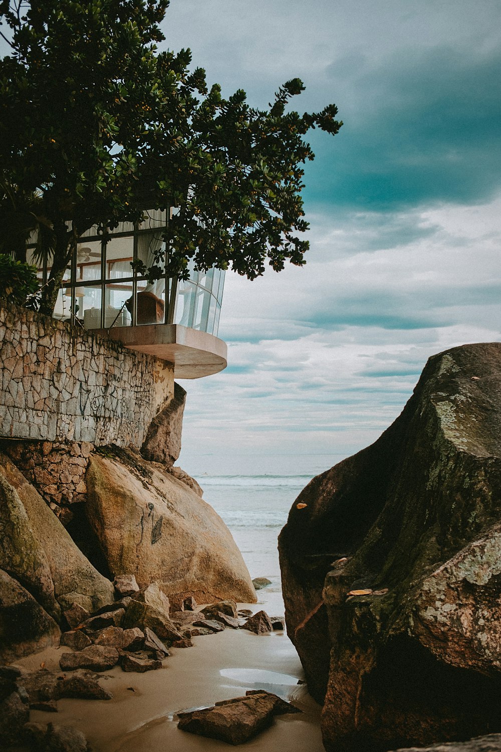 green tree on brown rock formation near body of water during daytime