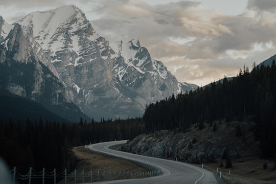 gray concrete road between green trees and mountain during daytime in Kananaskis Canada