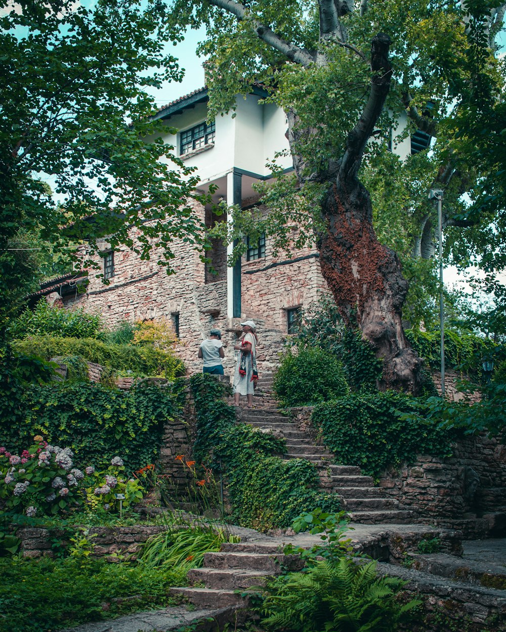 people walking on pathway between green plants and trees during daytime