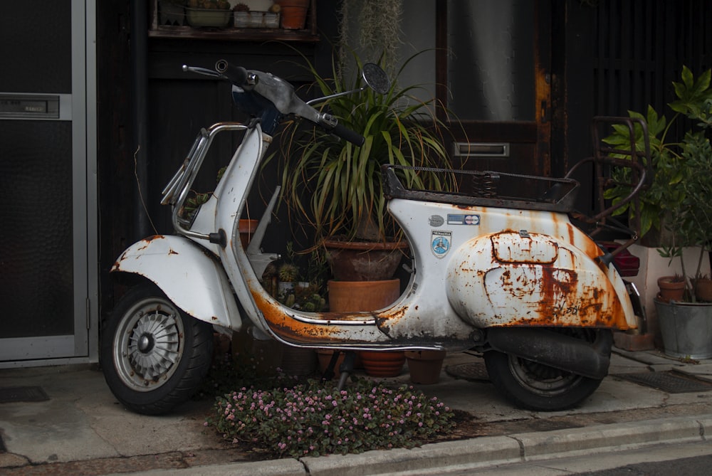 scooter motor branco e laranja estacionado ao lado de plantas verdes