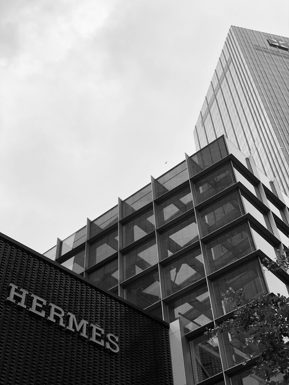 grayscale photo of high rise building